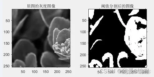 基于免疫遗传优化的图像分割算法matlab仿真_编码方式